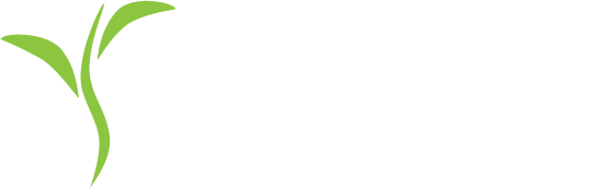 Champion Chiropractic Centre Logo